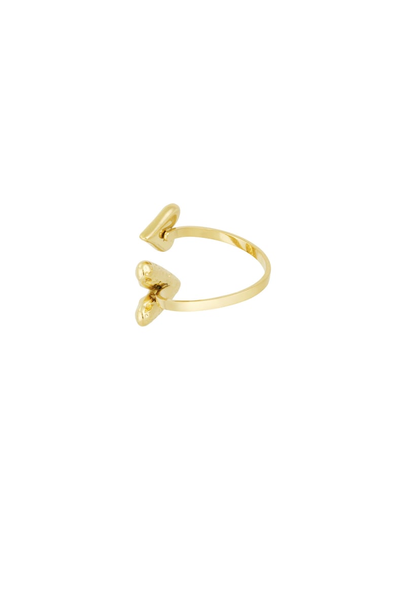 Ring Merel